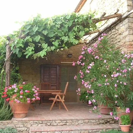 Pergola At Le Pietraie A With Many Flowers Montecastelli Pisano