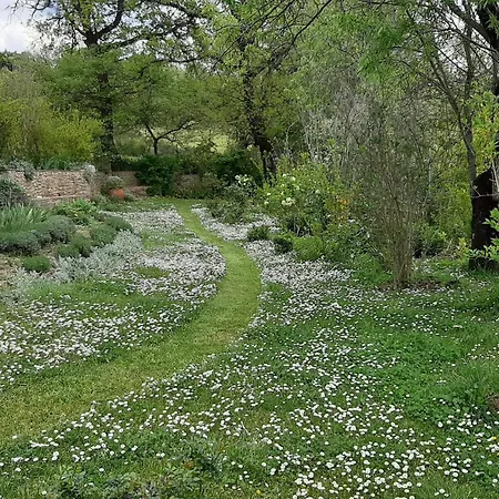 Pergola At Le Pietraie A With Many Flowers Montecastelli Pisano