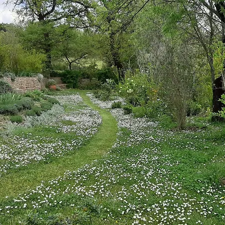 Pergola At Le Pietraie A With Many Flowers Montecastelli Pisano