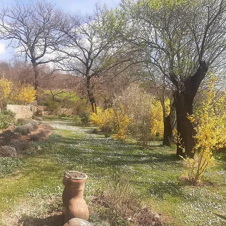 Pergola At Le Pietraie A With Many Flowers Διαμέρισμα Montecastelli Pisano
