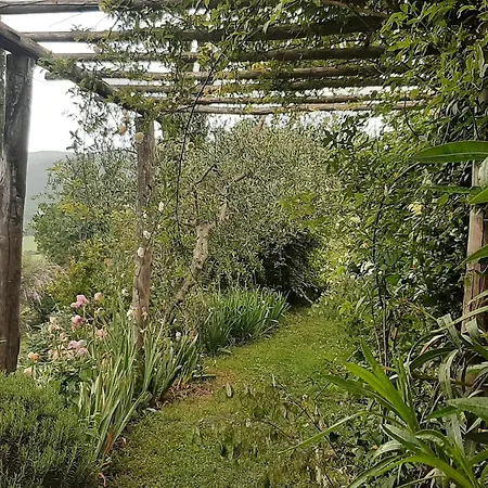 Apartman Pergola At Le Pietraie A With Many Flowers