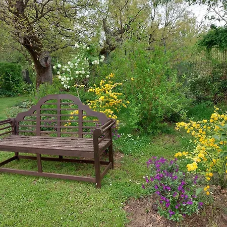 Apartment Pergola At Le Pietraie A With Many Flowers *