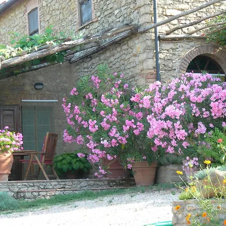 Pergola At Le Pietraie A With Many Flowers Apartment Montecastelli Pisano