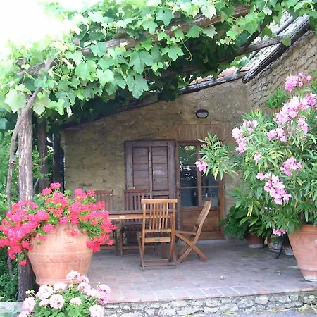 Pergola At Le Pietraie A With Many Flowers * Montecastelli Pisano