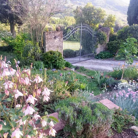 Apartment Pergola At Le Pietraie A With Many Flowers *