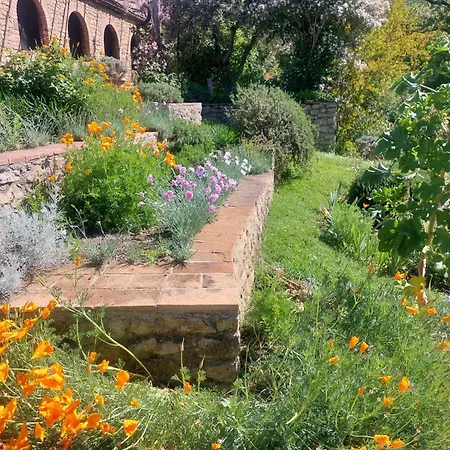 Pergola At Le Pietraie A With Many Flowers Montecastelli Pisano